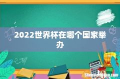 2022世界杯在哪个国家举办