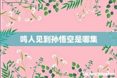 鸣人见到孙悟空是哪集
