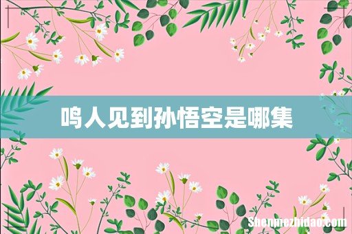 鸣人见到孙悟空是哪集