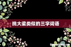 挑大梁类似的三字词语