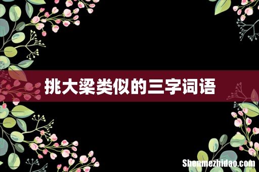 挑大梁类似的三字词语