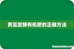 黄豆发酵有机肥的正确方法