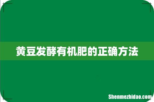 黄豆发酵有机肥的正确方法