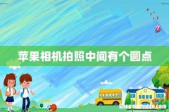 苹果相机拍照中间有个圆点