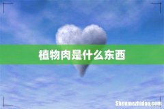 植物肉是什么东西
