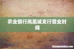 农业银行凤凰城支行营业时间