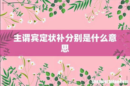 主谓宾定状补分别是什么意思