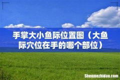 大鱼际穴位在手的哪个部位 手掌大小鱼际位置图