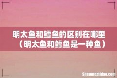 明太鱼和鳕鱼是一种鱼 明太鱼和鳕鱼的区别在哪里