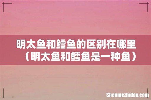 明太鱼和鳕鱼是一种鱼 明太鱼和鳕鱼的区别在哪里