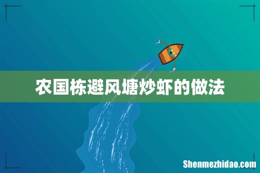 农国栋避风塘炒虾的做法