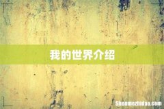 我的世界介绍