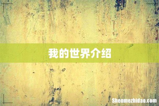 我的世界介绍