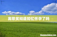 离歌笑知道如忆怀孕了吗