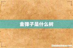 金弹子是什么树