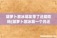 胡萝卜放冰箱一个月还能吃吗 胡萝卜放冰箱发芽了还能吃吗