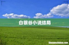 白银谷小说结局