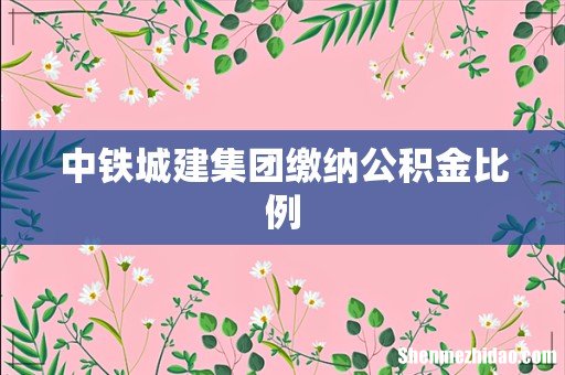 中铁城建集团缴纳公积金比例