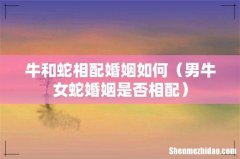 男牛女蛇婚姻是否相配 牛和蛇相配婚姻如何
