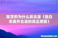陈白衣离开北凉的真正原因 陈芝豹为什么反北凉