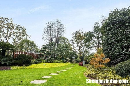 武汉华侨城纯水岸东湖怎么样 武汉华侨城纯水岸东湖怎么样呀
