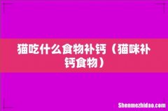 猫咪补钙食物 猫吃什么食物补钙