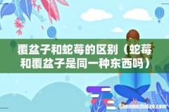 蛇莓和覆盆子是同一种东西吗 覆盆子和蛇莓的区别
