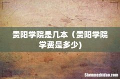 贵阳学院是几本（贵阳学院学费是多少)