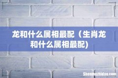龙和什么属相最配（生肖龙和什么属相最配)