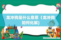 龙冲狗是什么意思（龙冲狗如何化解)