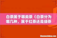 白茶分为哪几种，属于红茶还是绿茶 白茶属于哪类茶