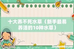 新手最易养活的10种水草 十大养不死水草