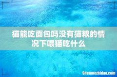 猫能吃面包吗没有猫粮的情况下喂猫吃什么