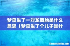 梦见生了一对龙凤胎是什么意思（梦见生了个儿子是什么意思)