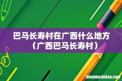 广西巴马长寿村 巴马长寿村在广西什么地方