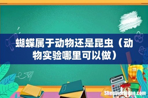 动物实验哪里可以做 蝴蝶属于动物还是昆虫