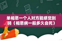 相思病一般多久会死 单相思一个人对方能感觉到吗
