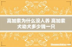 高加索为什么没人养 高加索犬幼犬多少钱一只