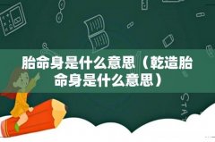 乾造胎命身是什么意思 胎命身是什么意思