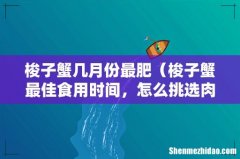 梭子蟹最佳食用时间，怎么挑选肉多 梭子蟹几月份最肥