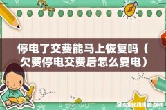 欠费停电交费后怎么复电 停电了交费能马上恢复吗