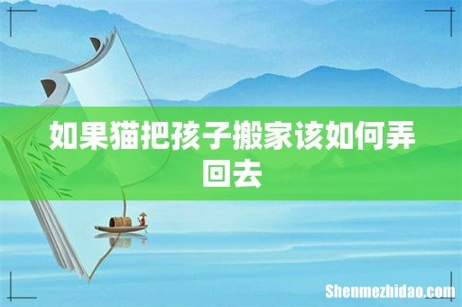 如果猫把孩子搬家该如何弄回去