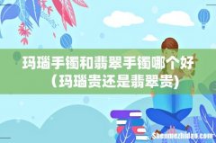 玛瑙手镯和翡翠手镯哪个好（玛瑙贵还是翡翠贵)