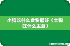 土狗吃什么主食 小狗吃什么食物最好