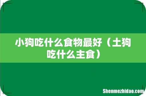 土狗吃什么主食 小狗吃什么食物最好