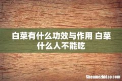 白菜有什么功效与作用 白菜什么人不能吃