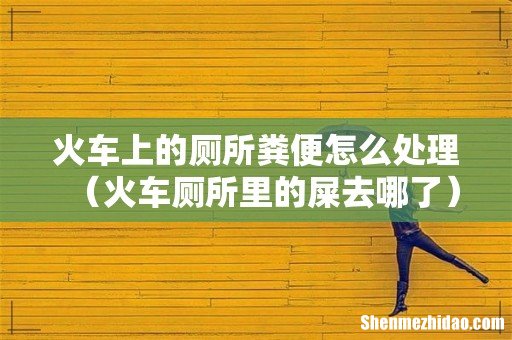 火车厕所里的屎去哪了 火车上的厕所粪便怎么处理