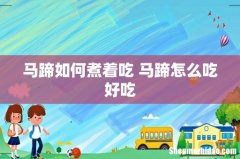 马蹄如何煮着吃 马蹄怎么吃好吃