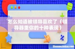 领导器重你的十种表现 怎么知道被领导喜欢了