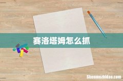 赛洛塔姆怎么抓